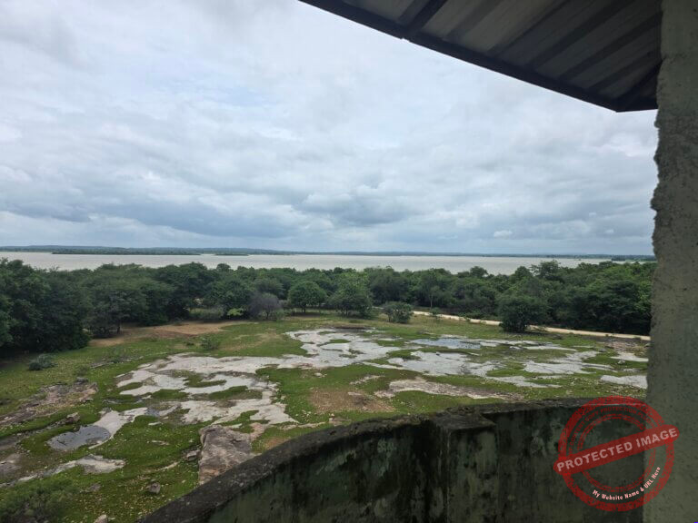 A Monsoon Road Trip from Hyderabad to Medak: Dams, Forests, Peacocks and a Cathedral